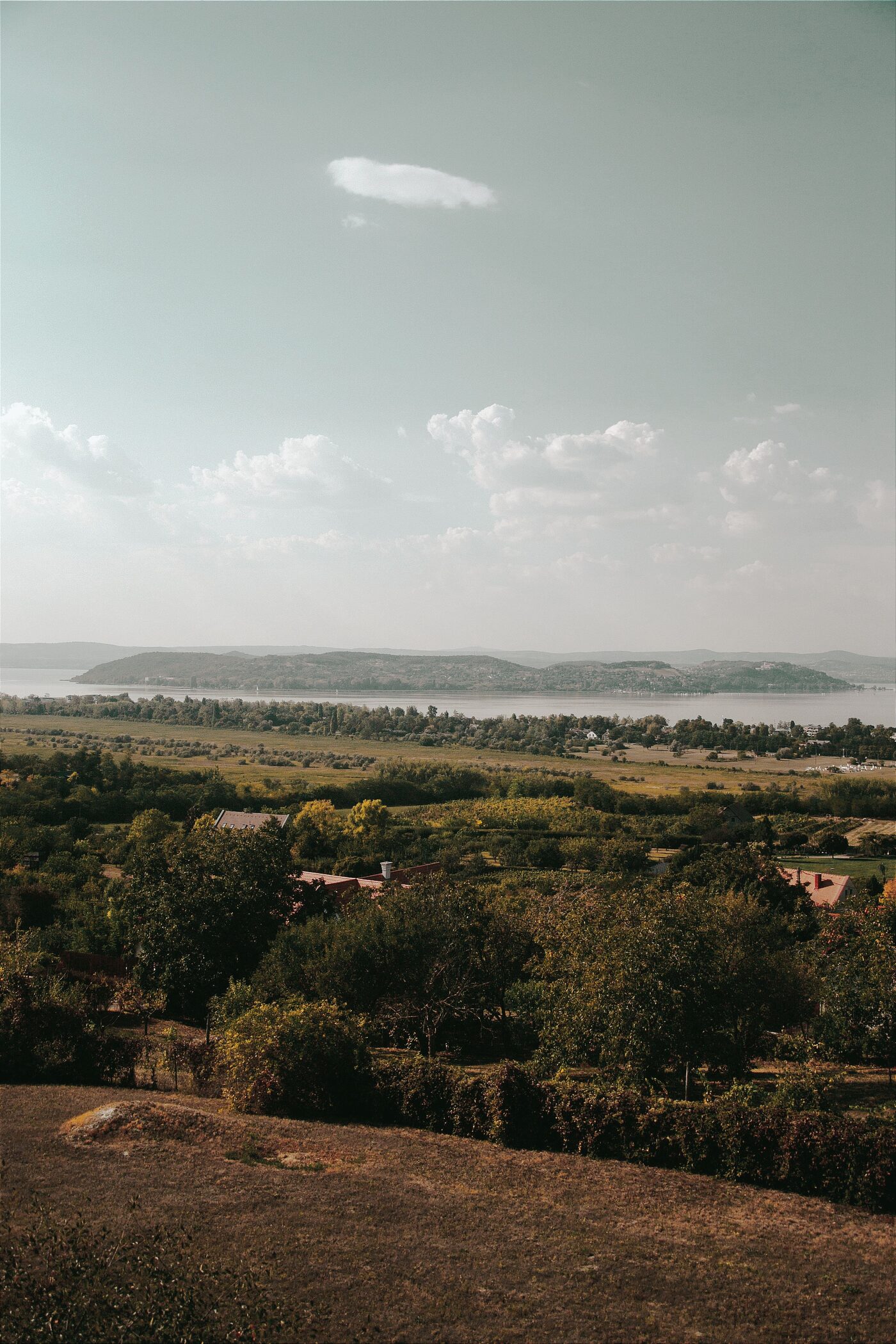 Film still, hillside overlooking a lake